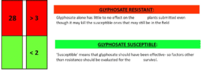 PSI Labs test result